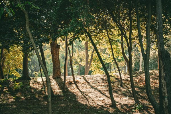 Médicaments pour seniors et exercice physique : quel est le lien ?