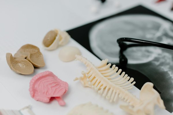 Les outils numériques pour suivre un régime sans sucre